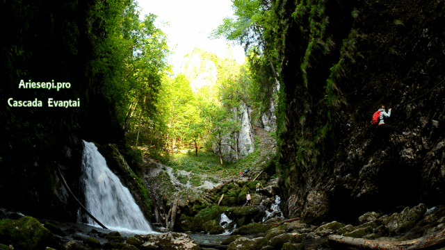 Cascada Evantai Cheile Galbenei Arieseni